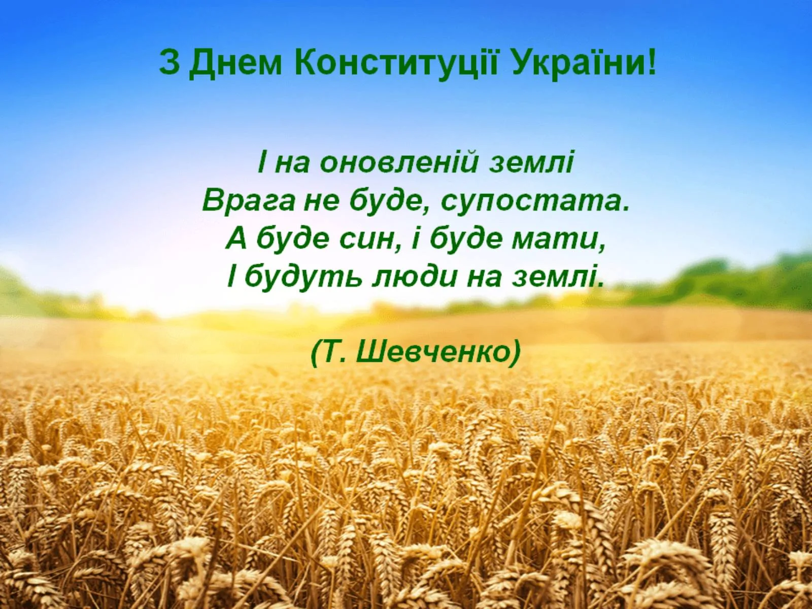 З днем Конституції України!