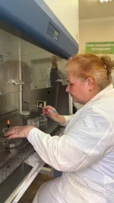 Дослідження хвороб сільськогосподарських культур