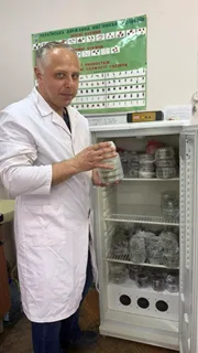 Мікологічний аналіз