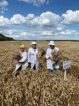 Оцінювання ефективності засобів захисту рослин