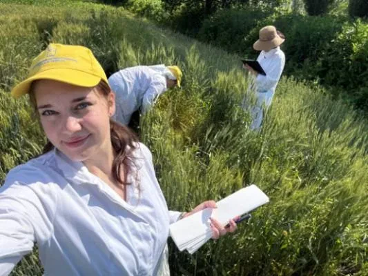 Лабораторія імунітету сільськогосподарських рослин до хвороб — фото 9